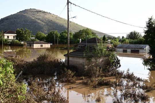 Καρδίτσα